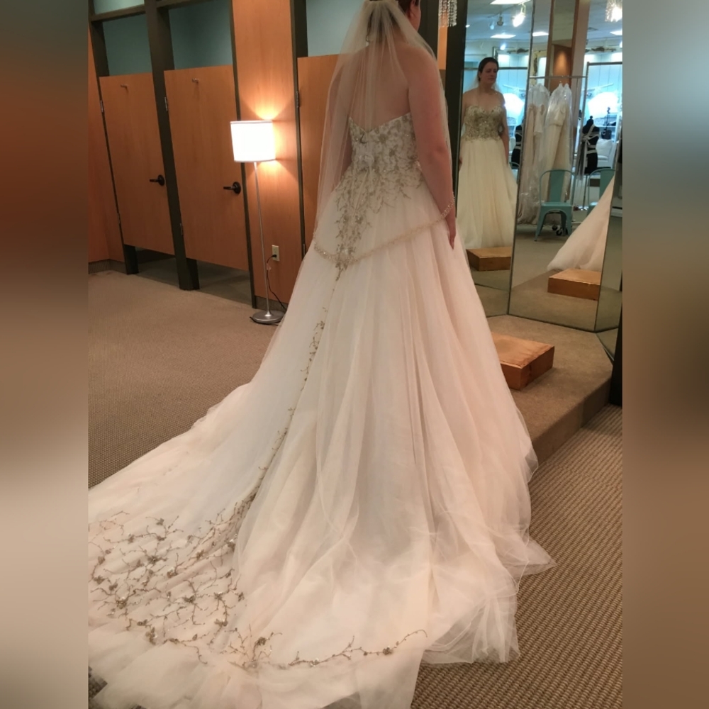 Justin Alexander Style 8889 In Color "Sand", Bodice Fits Like Size 16